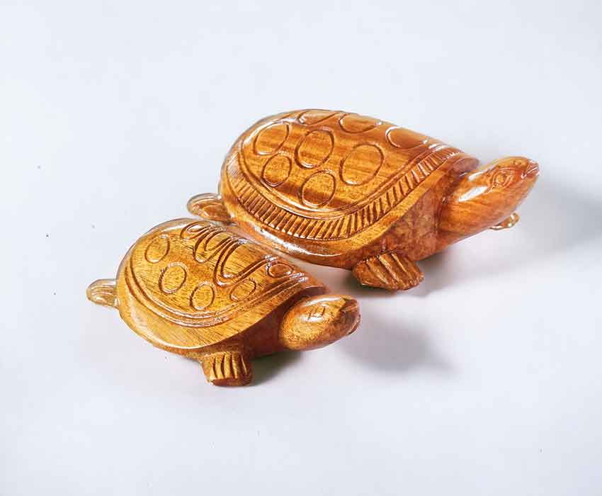 Handcrafted Terracotta Turtle Figurines – Symbol of Longevity & Prosperity (Set of 2)