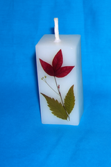 Square Natural Dry Flower Perfumed Candle 10 pieces (SMALL SQUARE 5CM)
