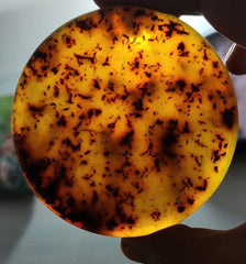 Clear Organic Turmeric Soap